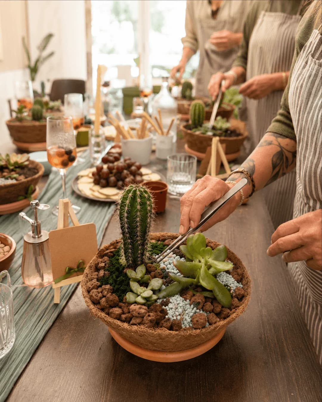 Taller botánico en (DE)SPACIO Alicante — crea tu jardín con suculentas y cactus